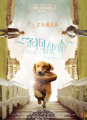 九天剑主玩家分享：热门玩法与活动